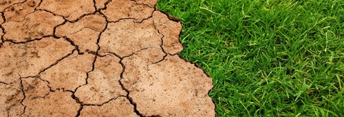 Reconnaissance de l’état de catastrophe naturelle au titre de la sécheresse