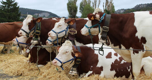 Inscription au repas du Comice de Baume les Dames