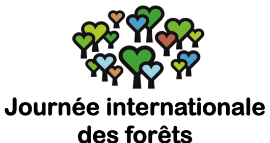 Journée internationale de la forêt 2024